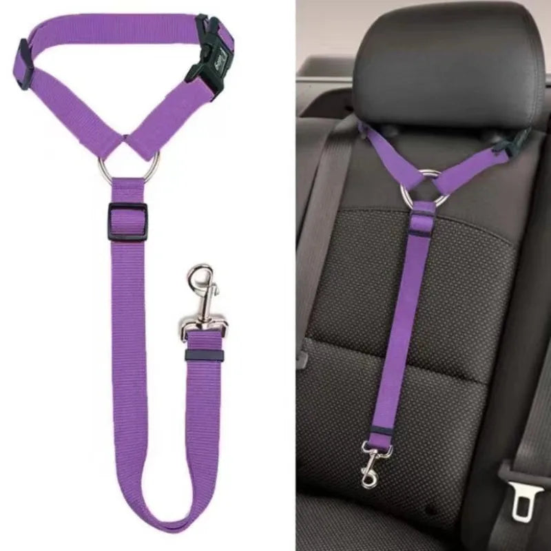Seat belt for pets