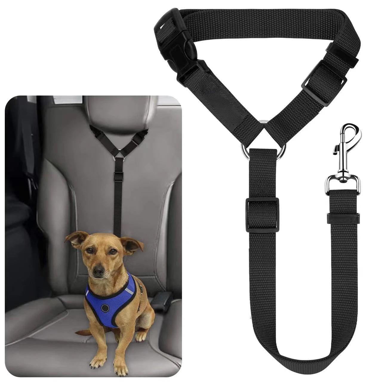 Seat belt for pets